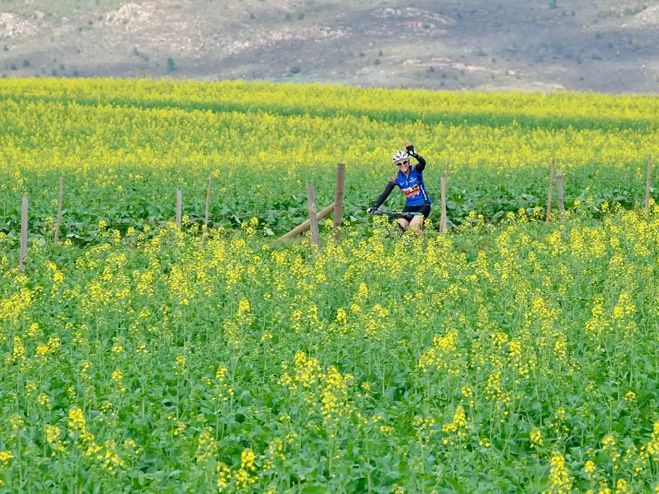 Bicycle Tours in the Cape Winelands, South Africa