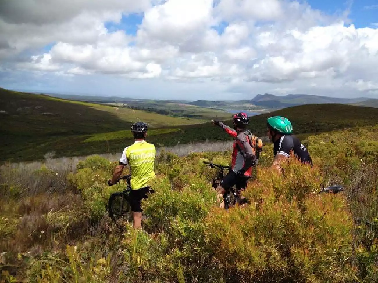 Bicycle Tours in Hermanus