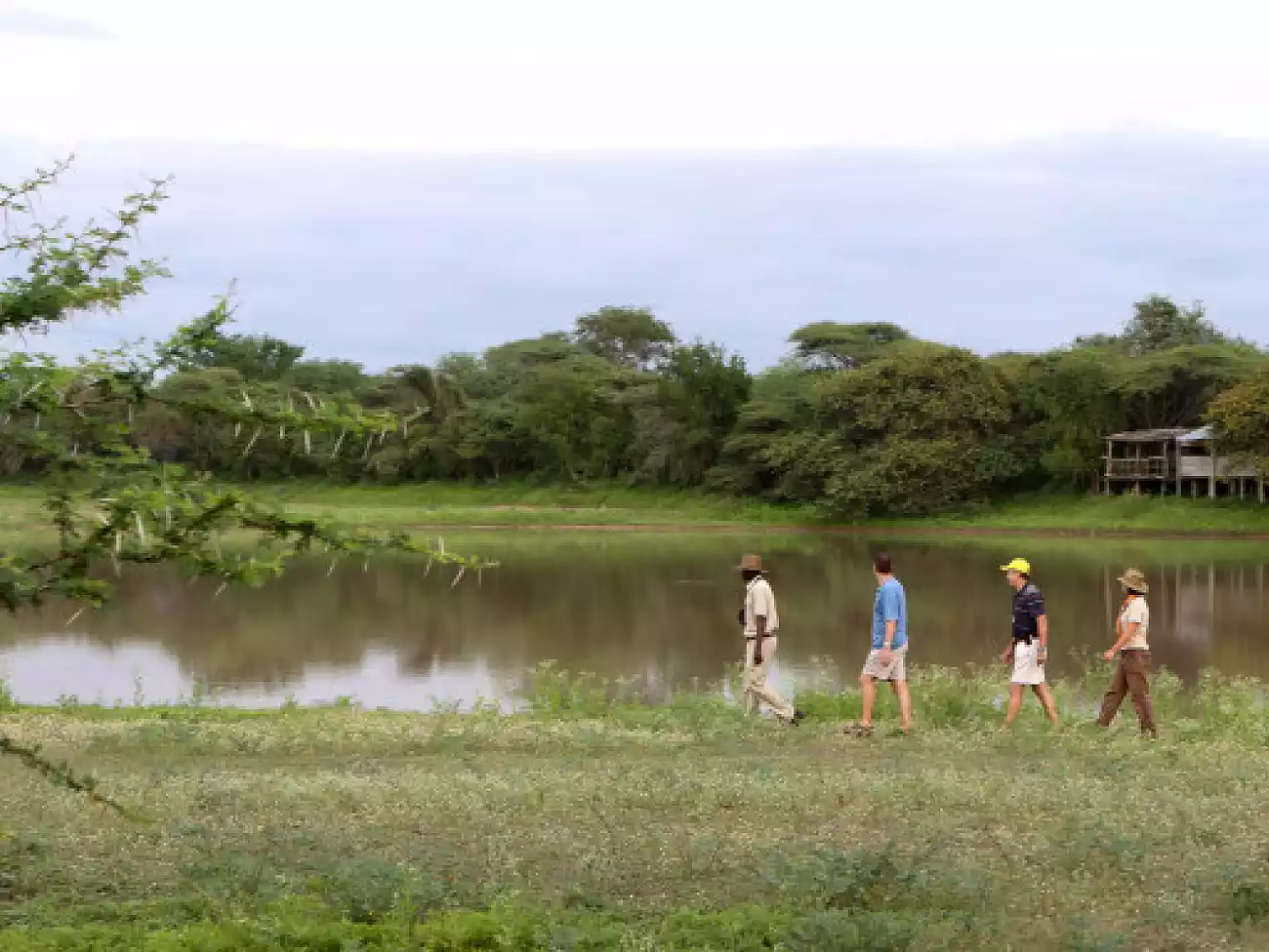 Walking Safaris in Eswatini