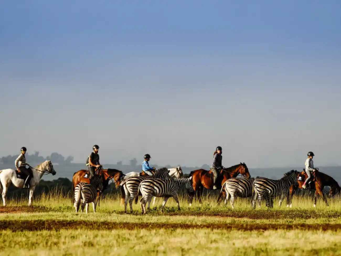Horse Riding in Eswatini