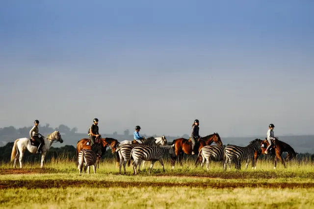 Horse Riding