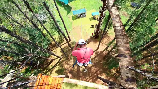 All Out Adventures - Big Swing