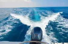 Boat Trips