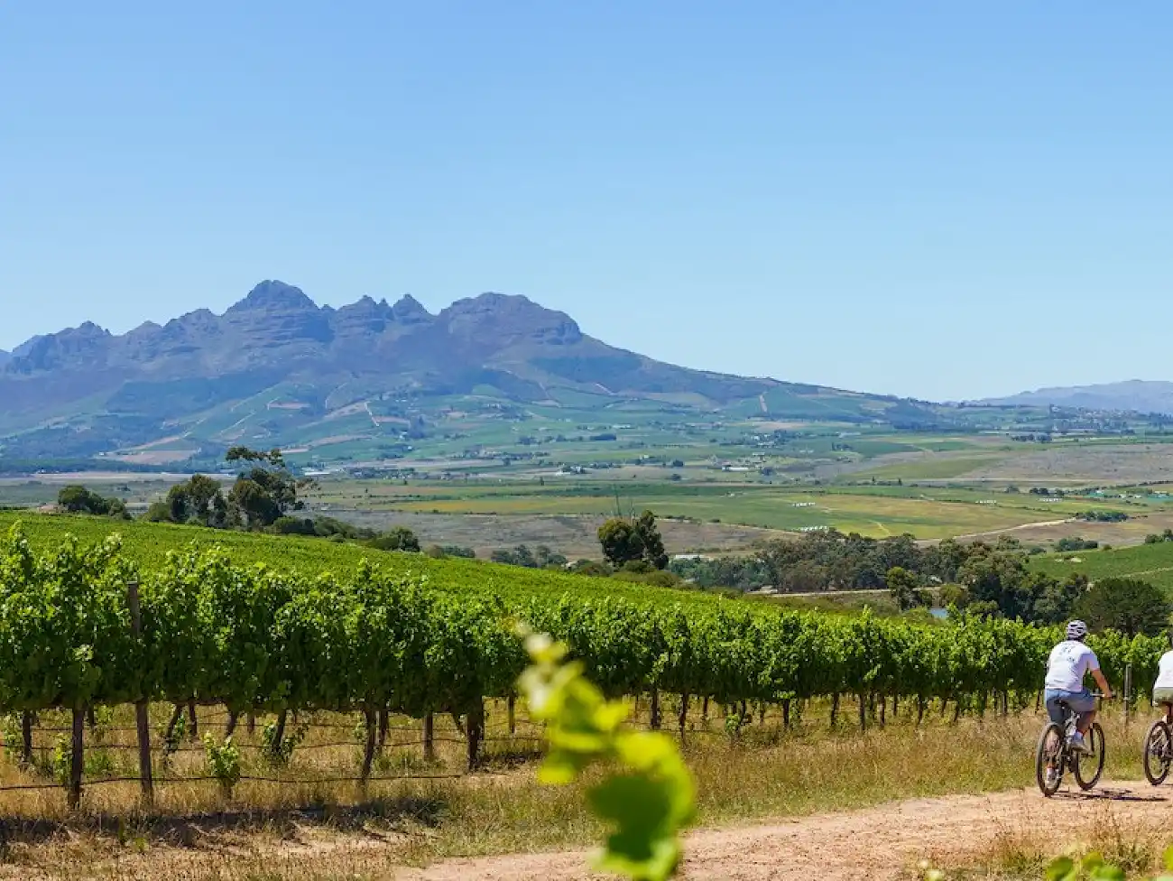 Cycle Tours in the Helderberg