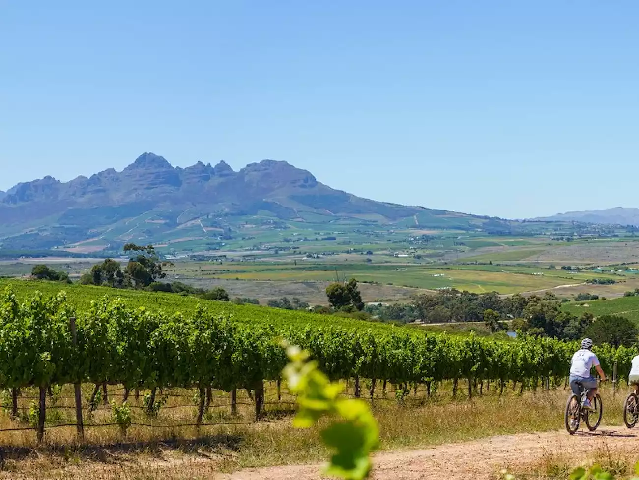Cycle Tours in the Helderberg