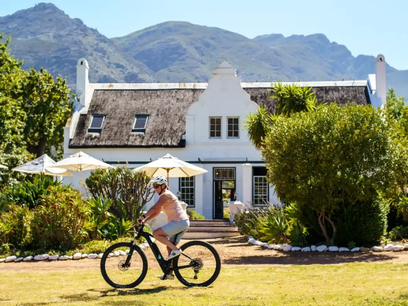 E-Bike Tours in the Cape Winelands