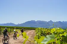 Bicycle Tours