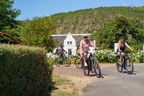 Bikes 'n Wines - Bicycle Tours 