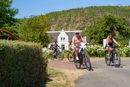 Bikes 'n Wines - Bicycle Tours 