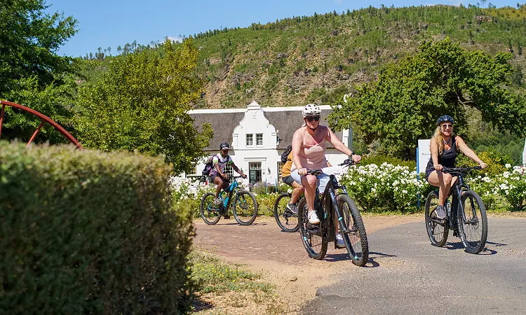 Bikes 'n Wines - Bicycle Tours