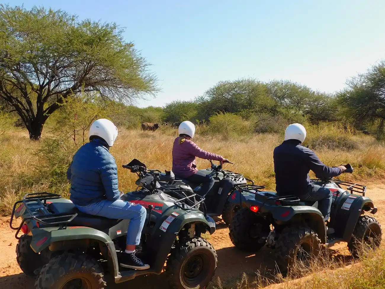 Quad Biking in the Blyde River Canyon