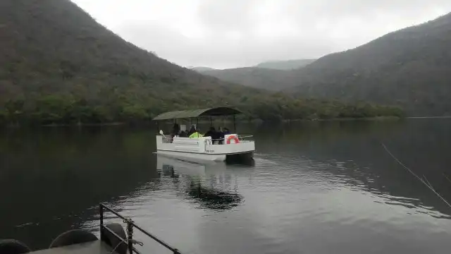 Boat Trips