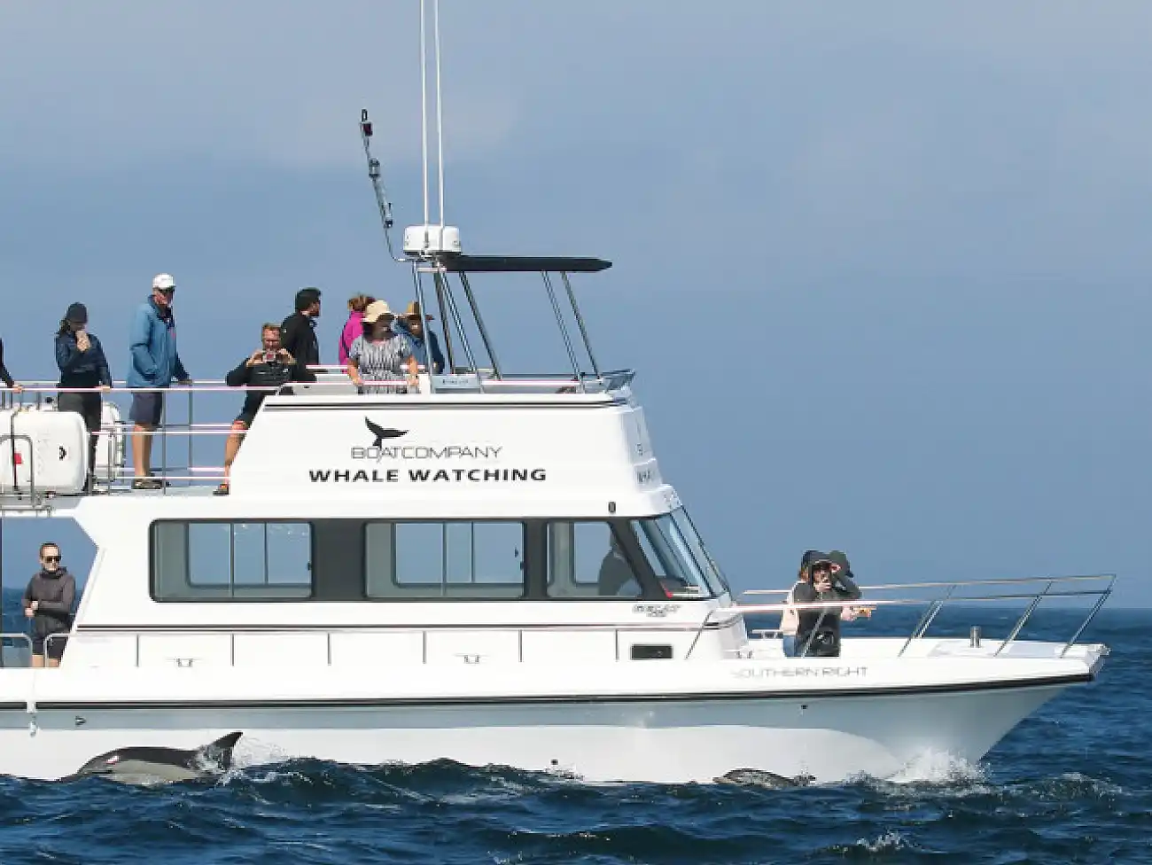 Boat Charters in Simon's Town, South Africa