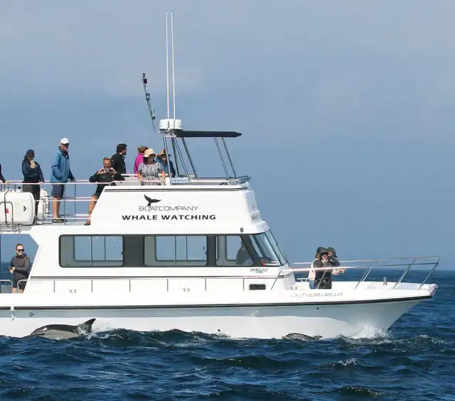 Boat Charters