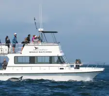 Boat Charters