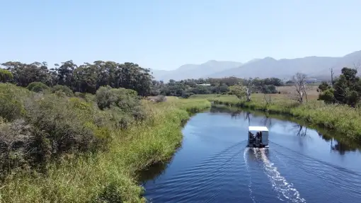 River Rat - Boat Trips