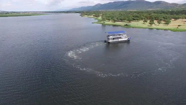 Boat Trips