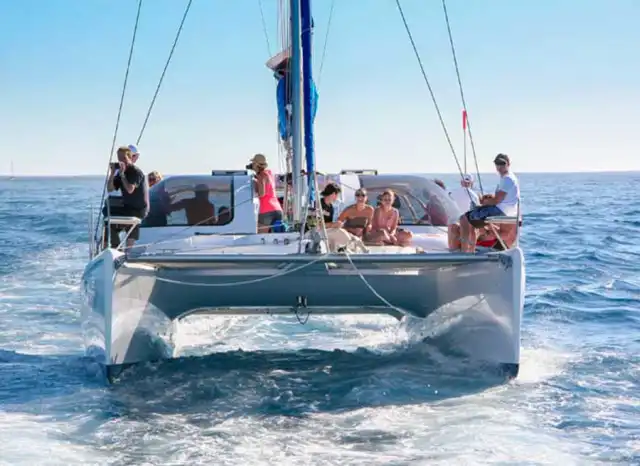 Boat Trips