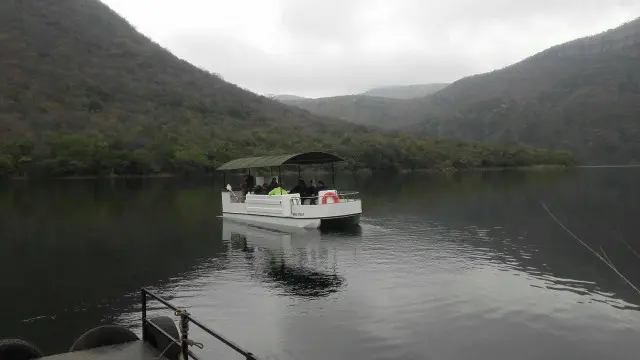 Boat Trips