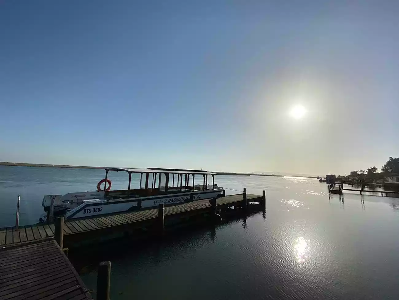 Boat Trips on the West Coast 