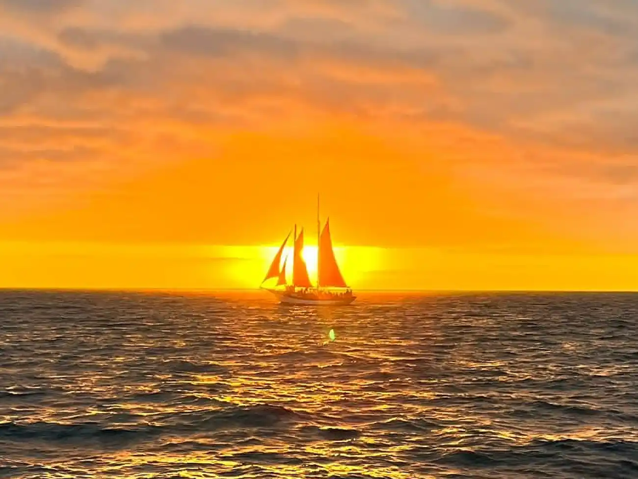 Boat trips in Jeffreys bay