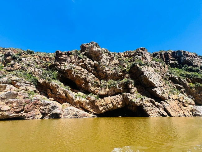 {def_description_image_text}