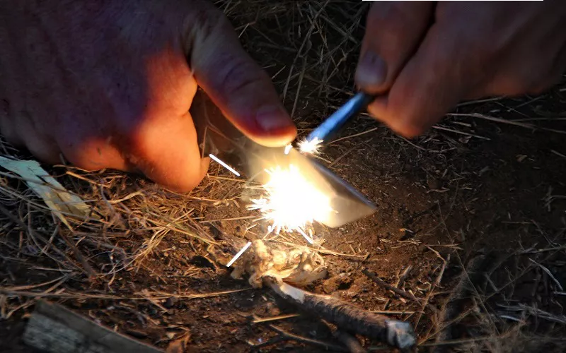 Learn to Survive in the Wild with Boswa Survival
