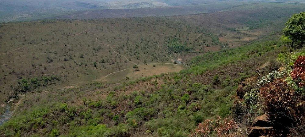 Buffalo Gorge - Guided Hiking