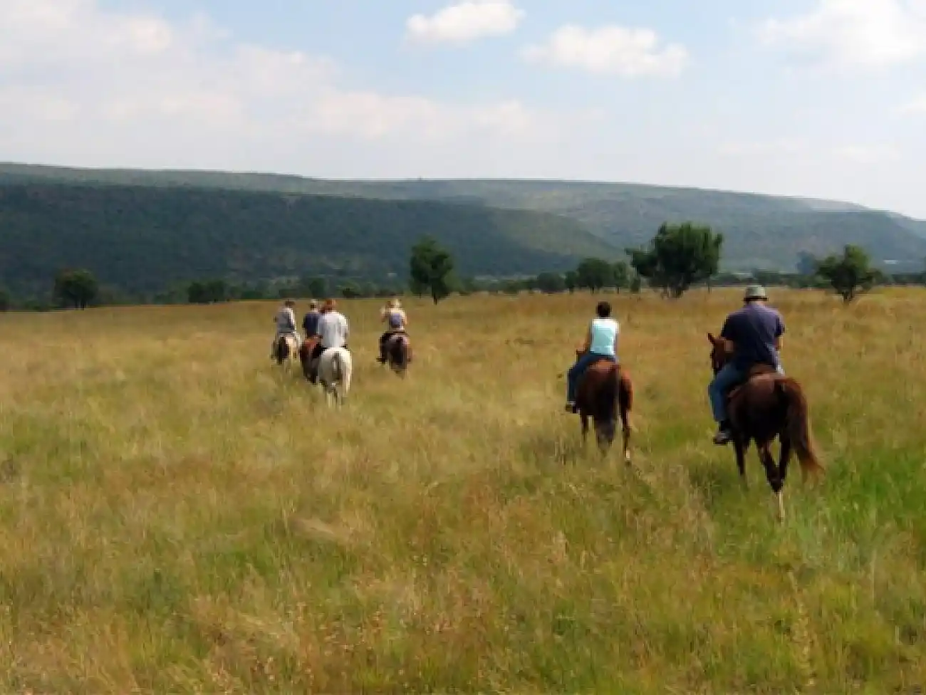 Horse Riding in Mpumalanga