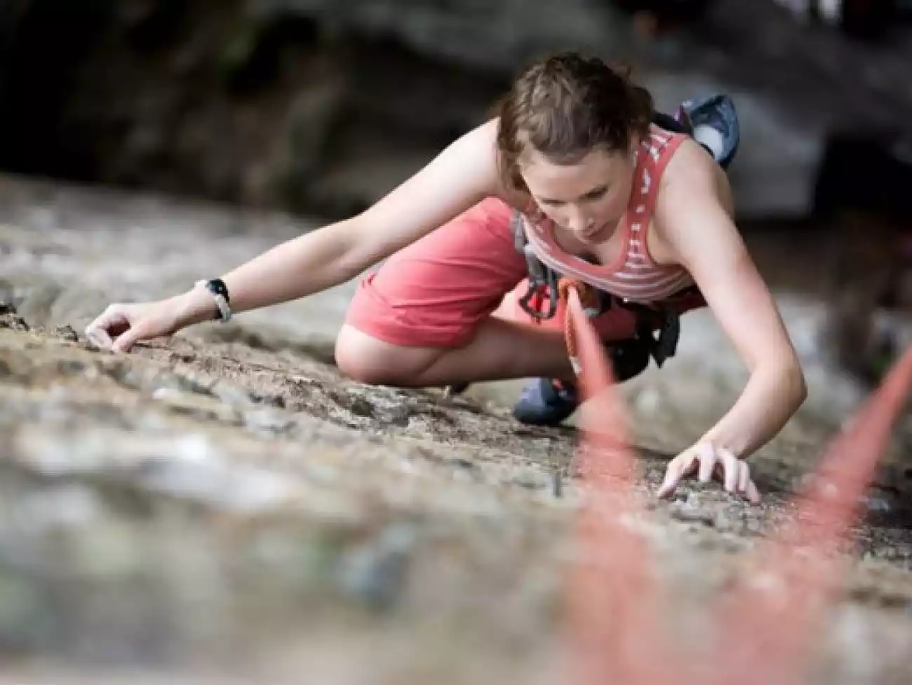 Rock Climbing in Middelburg