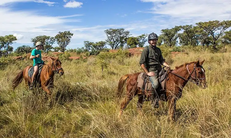 Buffalo Gorge - Horse Riding
