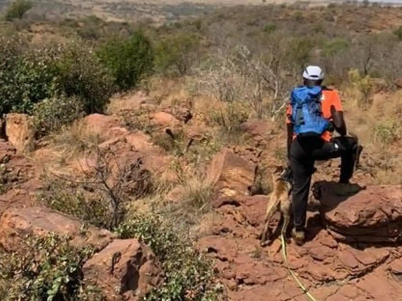 Trail Running on the Highveld Escarpment