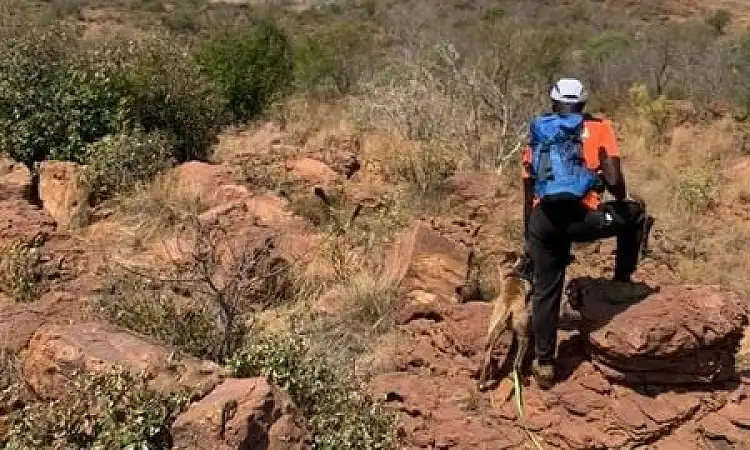 Buffalo Gorge - Trail Running