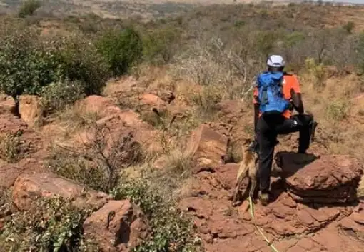Buffalo Gorge - Trail Running