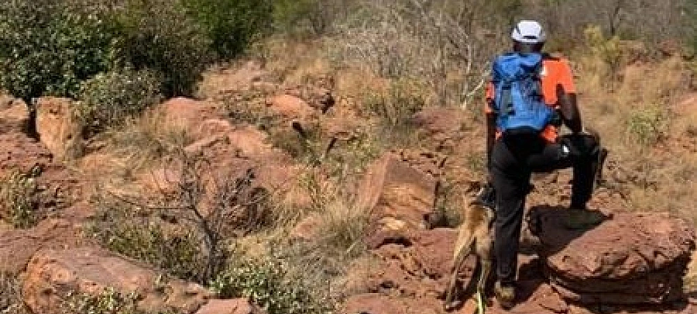 Buffalo Gorge - Trail Running