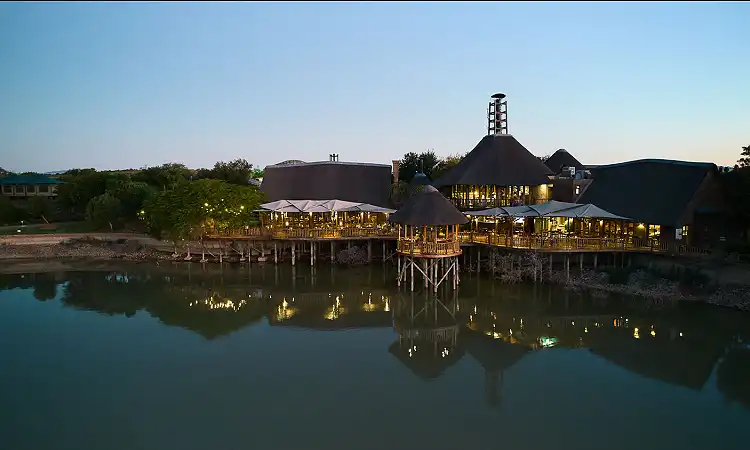 Buffelsdrift Game Lodge - Meerkat Experience