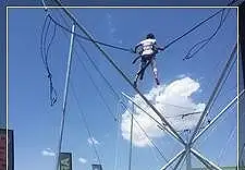 Bungee Bounce