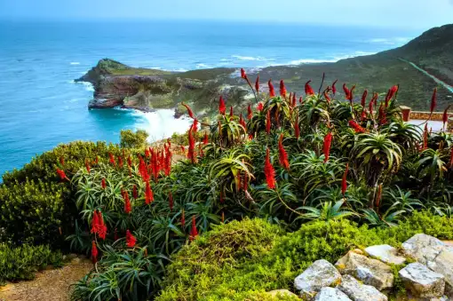Coast to Coast - Guided Hiking