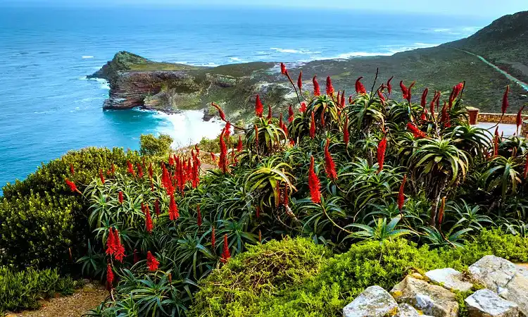 Coast to Coast - Guided Hiking