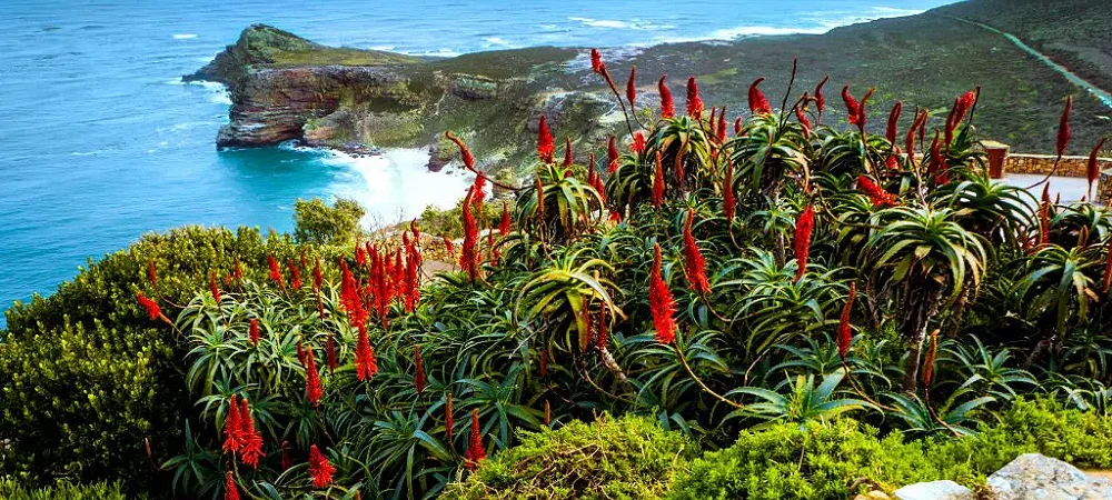 Coast to Coast - Guided Hiking