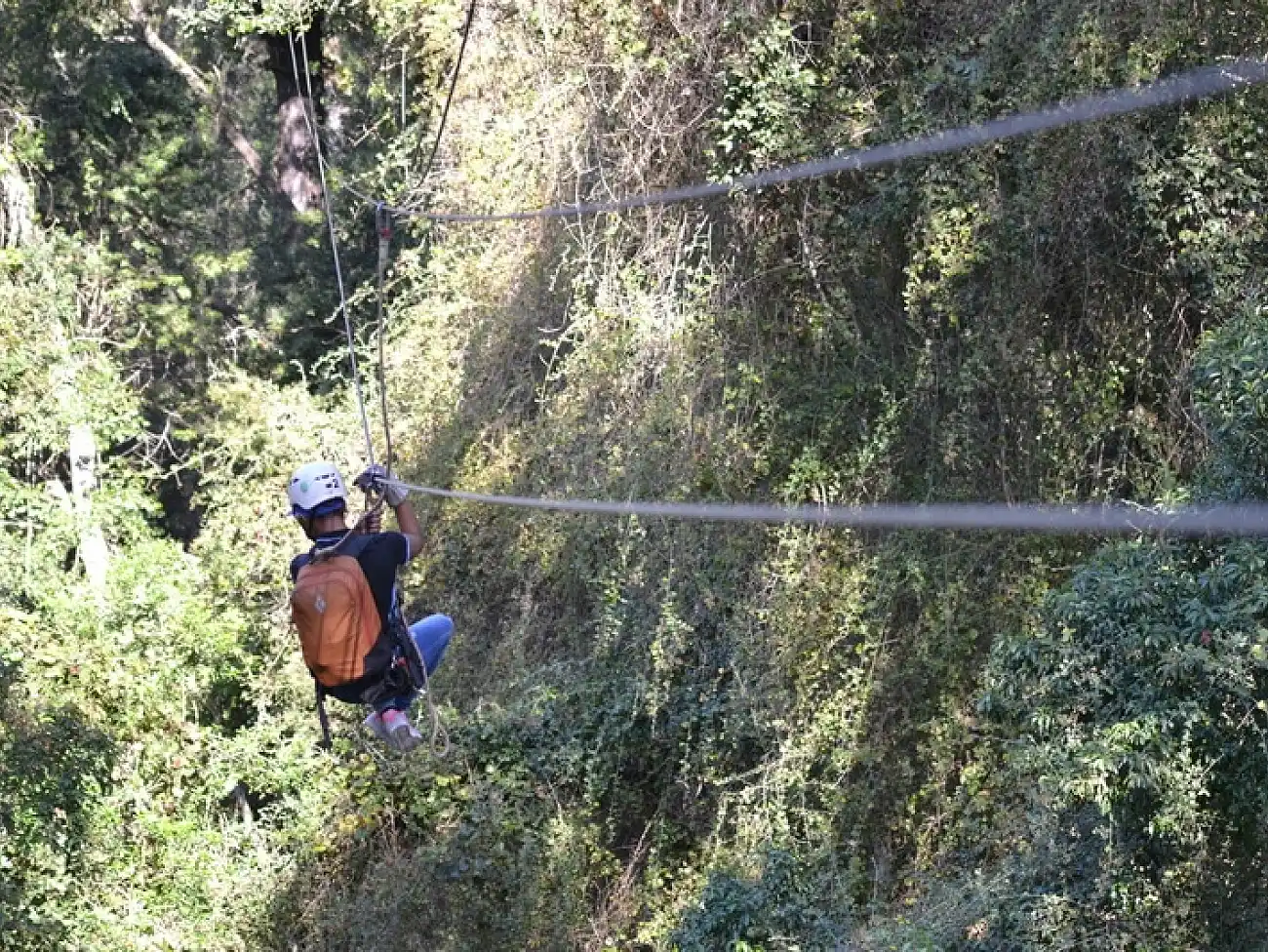 Canopy Tours in Mbabane