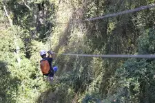 Canopy Tours