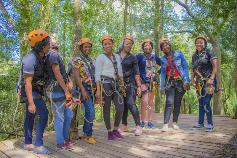 Canopy Tours