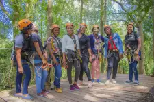 Canopy Tours