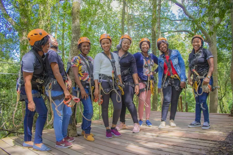 Canopy Tours