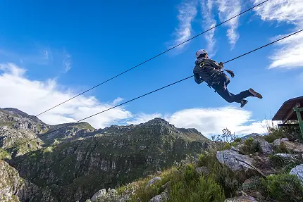 Cape Canopy Tour - Canopy Tours