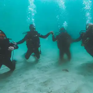 Cape Radd - Scuba Diving