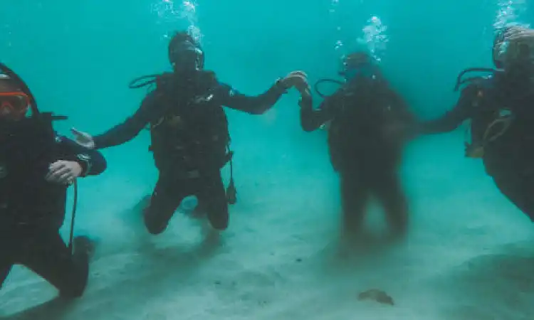 Cape Radd - Scuba Diving