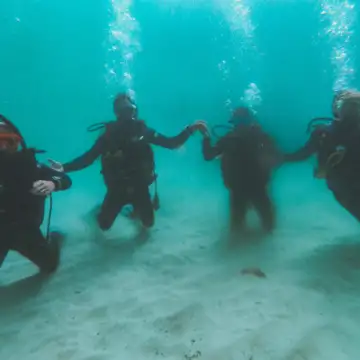 Cape Radd - Scuba Diving