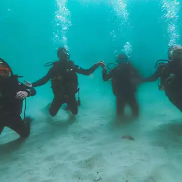 Cape Radd - Scuba Diving